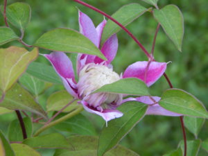DSCN4161.JPG