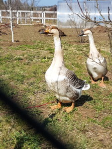 20170410_124030.jpg