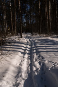 img-p-1060305_resize.jpg