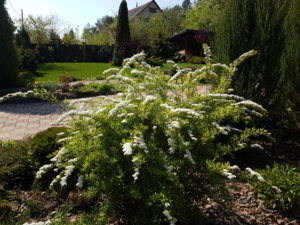 20170521_102519.jpg