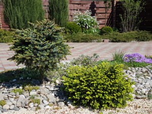20170521_102908.jpg