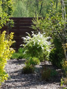 20170521_102749.jpg
