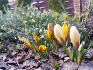 20170323_164446.jpg