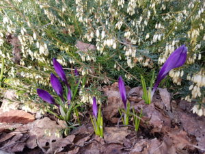 20170329_095343.jpg