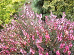 20170329_095837.jpg