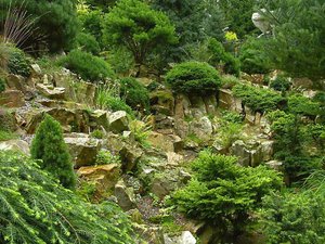 17_S__06_06_07_chehiya8.jpg