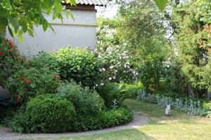IMG_5449.JPG