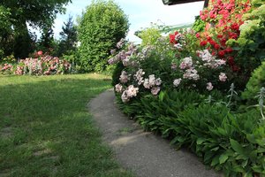 IMG_5586.JPG