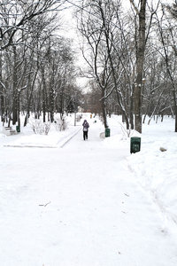 парк.jpg