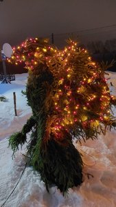 20231229_222629.jpg
