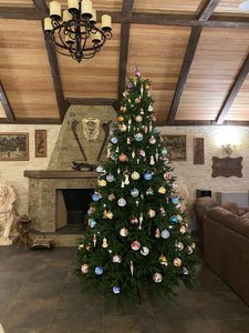 IMG_7977.jpeg