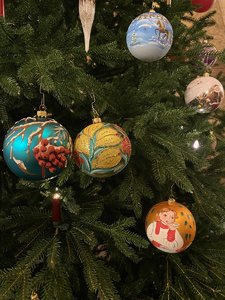 IMG_7981.jpeg