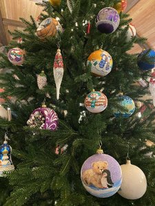 IMG_7984.jpeg
