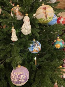 IMG_7988.jpeg