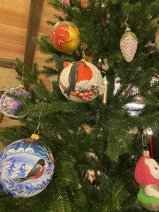 IMG_7990.jpeg