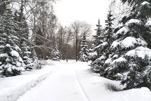 тропа.jpg