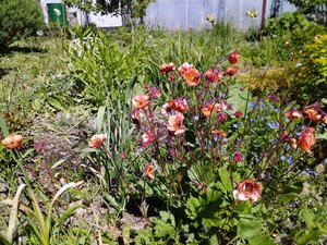 IMG_20230529_104754.jpg