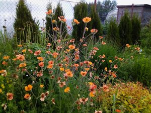 IMG_20230616_111229.jpg