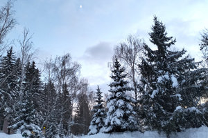 месяц.jpg