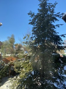 IMG_8163.jpeg