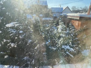 IMG_8164.jpeg