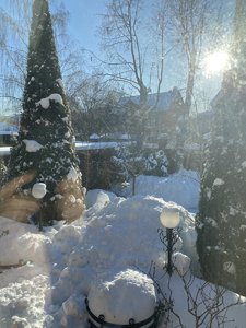 IMG_8166.jpeg