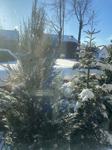 IMG_8167.jpeg