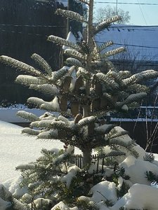 IMG_8168.jpeg
