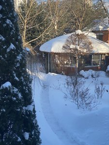 IMG_8170.jpeg