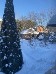 IMG_8172.jpeg