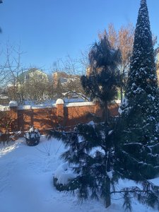 IMG_8173.jpeg