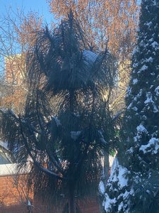 IMG_8174.jpeg