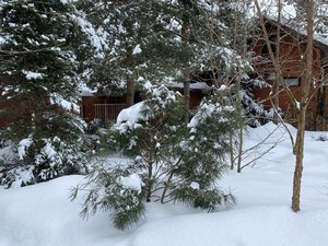 IMG_8233.jpeg