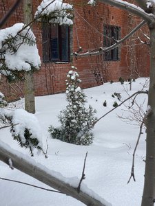 IMG_8236.jpeg