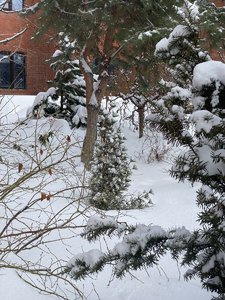 IMG_8237.jpeg
