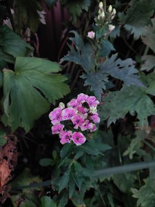 20230814_201639.jpg