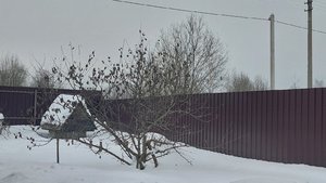 20240222_105442.jpg