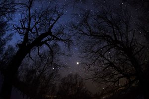 A01_1466_.jpg
