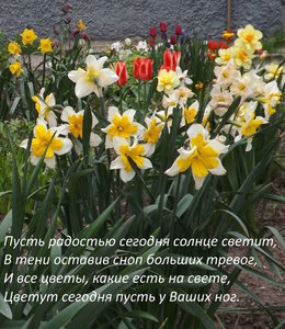 2020.06.12 Уч № 1 На открытку _ф2_  DSCF7715.jpg