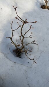 20240402_082958.jpg