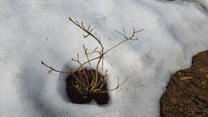 20240402_083044.jpg
