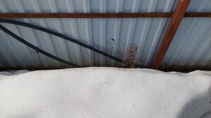 20240402_083427.jpg
