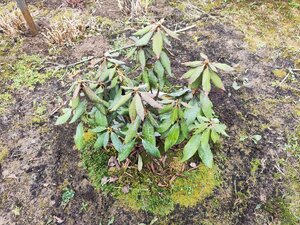 IMG_20240407_150615.jpg