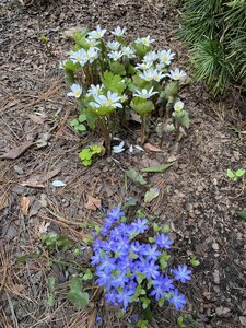 IMG_8692.jpeg