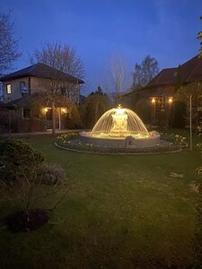 IMG_8766.jpeg