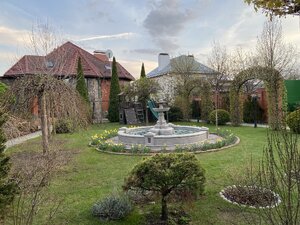 IMG_8762.jpeg