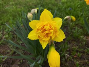 IMG_20240426_161707.jpg