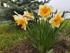 IMG_20240426_161625.jpg