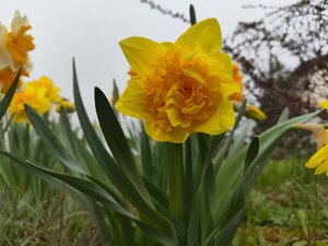 IMG_20240426_161557.jpg