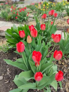 IMG_20240429_130224.jpg